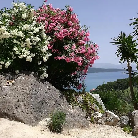 Del Arte, Amazing Sea View, 300m From The *